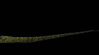 SPHによる巻き波のシミュレーション Simulation of plunging breaker with SPH