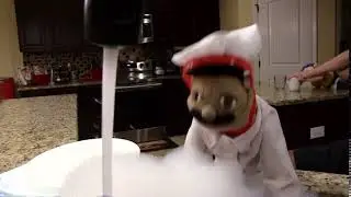 &ldquo;Wash them dishes&rdquo; Song From SML