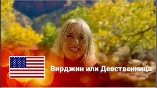 🇺🇸 (5) США Самая дикая река Вирджин в штате ЮТА. Неуловимая Красота Зайона 🔥Зажигалочка по США! #юта