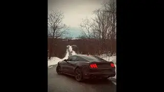 Mustang lovers do comment below #trending #automobile #viral #car #facts