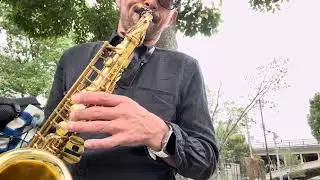 Ribbon in the sky Stevie wonder alto sax cover no.124 #saxophone 
