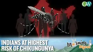 51 LAKH INDIANS AT LONG-TERM RISK OF CHIKUNGUNYA EVERY YEAR: STUDY