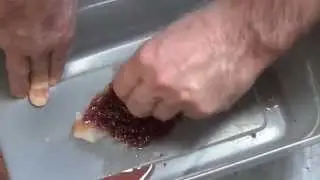 Frozen Blood Worms, chop them for the smaller fish