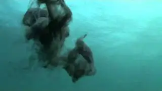 Crazy Mimic Octopus spurts ink to camera!