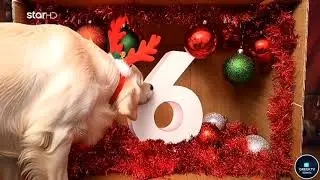 Star (Greece) - Happy New Year Ident (2026) 
