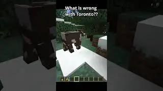 what is wrong with toronto #memes #shorts #minecraft