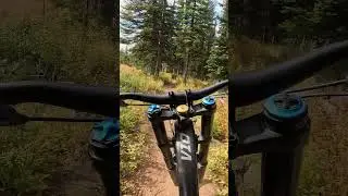 HOLD ON TIGHT - Death Grip  MTB Motivation #mtb #shorts #mountainbike #mountainbiking