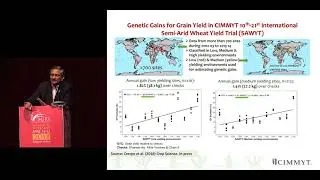 Ravi Singh - Delivering genetic gain in wheat