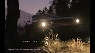 The insane versatility of Forza Horizon 5's Photomode