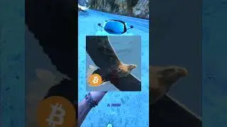 TrumpXshillsDeFiduring campaign#MAGAcoin#NoCBDCs