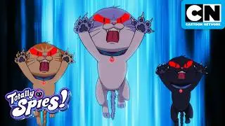 Totally Pawsome! 🐾 🐈 | Totally Spies | Cartoon Network