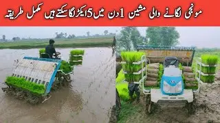 Rice Planter Machine In Pakistan|| munji Lagane wali machine||Rice Planter Machine Price in Pakistan