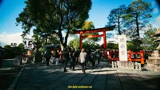 learning more about myself and tea in rural japan