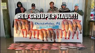 Red Grouper HAUL!!! February Offshore Fishing in Stienhatchee at it&rsquo;s FINEST!