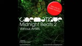 Midnight Beats 2  - The Mix (mixed by Vasile Gorbani)