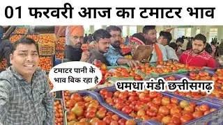 1 February 2026 टमाटर पानी के भाव बिक रहा है tomoto price today #Rohansabjiwala #cg #farming #food 