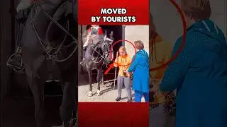 Moved By Tourists #shorts #kingsguardstory #kingsguard