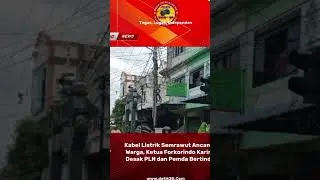 Kabel Listrik Semrawut Ancam Warga, Ketua Forkorindo Karimun Desak PLN & Pemda Bertindak