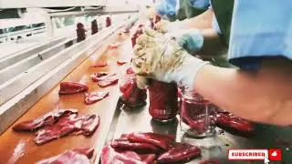 Red Chilli Pepper Harvest | Chili Powder Processing in Factory - How chili sauce is made foot channe