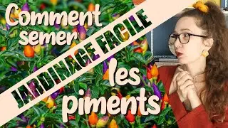 Jardinage Qu&eacute;bec 🌱 Comment Semer les Poivrons & les Piments - Jardinage Facile [ENG+FR SUBTITLES]