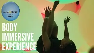 teamLab Planets Body Immersive Experience