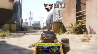 Call of Duty Gameplay Fringe