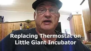 Replacing Thermostat on Little Giant Incubator