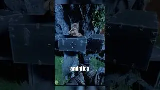 SECRET TEDDY BEAR ANIMATION!  #bo2 #bo3 #gaming