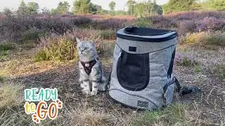 We couldn't contain our excitement to see our PETSFIT Pet Backpack in action! 🐱💼