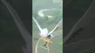 Pokemon Legends Arceus Shiny sound