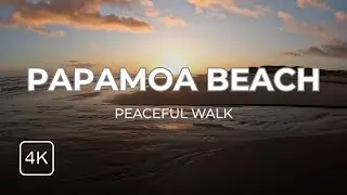 Peaceful Sunrise Walk | Papamoa Beach, New Zealand 🌅 | 4K LoFi Ambience