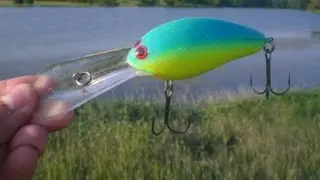 Lunker Largemouth Lost at the Bank (Hat Cam Bass)
