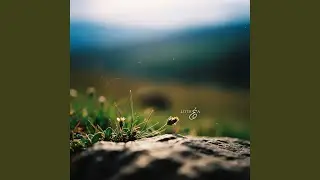 Earthmind