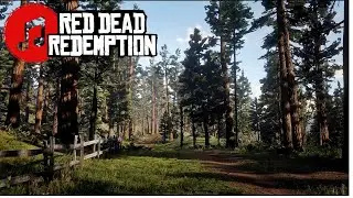 Red Dead Nostalgia 🎵 TALL TREES, RDR! Music in RDR2 - Red Dead Redemption 2