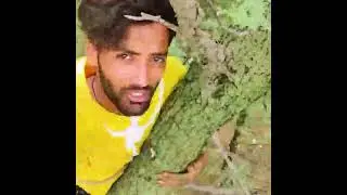 Wild Honey Harvesting Over an Eagle&rsquo;s Nest &ndash; Jungle Survival! 🍯🦅