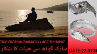 Handline fishing | churna | Mubarak village | Cuttlefish