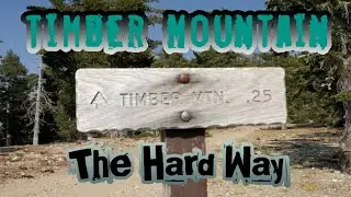 Timber Mountain Overnight Hike Via Middle Fork Trail Lytle Creek 4K