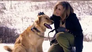 InClover Research pet supplements - Because Pets Do Deserve More.