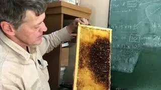 What do I do with Sticky Extracted Frames