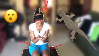 EPIC LIZARD 🦎 PRANK ON GIRLFRIEND *She pee her self *