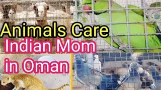 Indian Mom in Oman 🐓 | Home Animals Feeding | Daily Routine Vlog