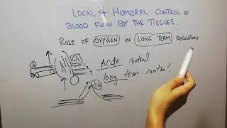 CVS physiology 103. Role of oxygen in long term control of blood flow, retrolental fibroplasia