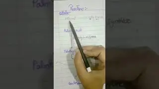 Beta oxidation of fatty acids biochemistry with easy explanation