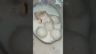 Creamy Paal Kozhukattai #shorts #viral #sweet #paalkozhukattai #trending #milk #food #badam #creamy