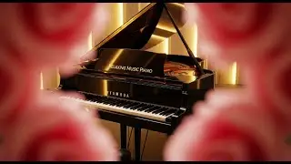 Relaxing Soft Piano Music 🎹 Calm Living Sounds for Daily Stress Relief & Peaceful Mood