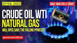 WTI Crude Oil Price & Natural Gas Price Live Today | OPEC MEETING TRADE -Analysis & Trading Strategy