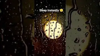 Soft rain on window 🌧 sounds for deep sleep 😴