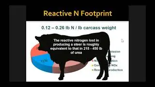 A National Assessment of the Environmental Impacts of Beef Cattle Production