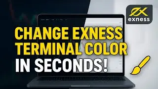 Как изменить цвет фона терминала Exness