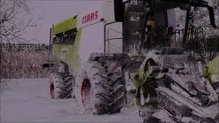 FS22 early snow maize harvest Claas Lexion 6900 + MTZ /Farming Simulator 2022